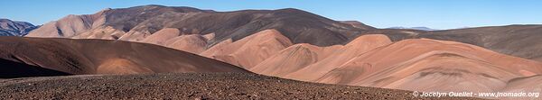 Reserva Provincial Laguna Brava - Argentine