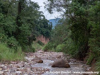 Parc national Calilegua - Argentine