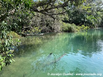 Rio Formoso - Bonito - Brazil