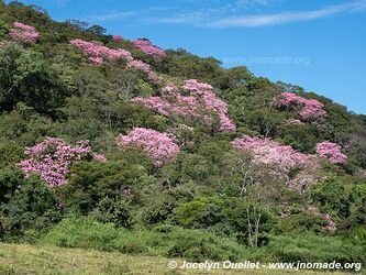 Piste de Aquidauana à Rio Verde de Mato Grosso - Brésil