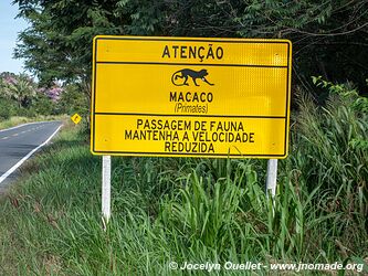 Région de Mimoso - Pantanal - Brésil