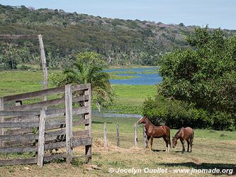 Autour de Barão de Melgaço - Pantanal - Brésil