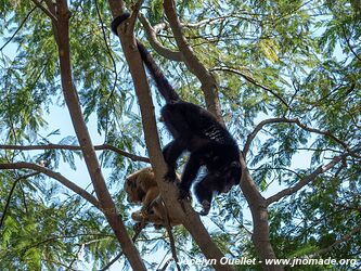 Autour de Barão de Melgaço - Pantanal - Brésil