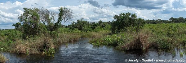 Estrada Parque Pantanal - Pantanal - Brazil