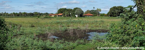 Estrada Parque Pantanal - Pantanal - Brazil