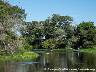 Porto Jofre - Pantanal - Brésil