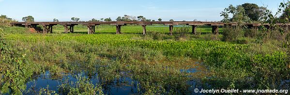 Estrada Parque Pantanal - Pantanal - Brazil