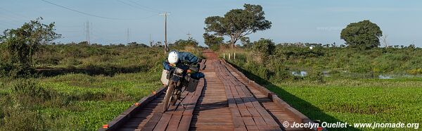 Estrada Parque Pantanal - Pantanal - Brazil