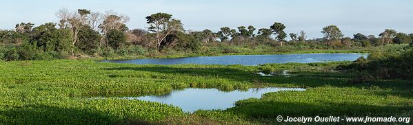Estrada Parque Pantanal - Pantanal - Brazil
