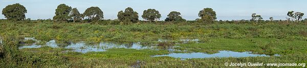 Estrada Parque Pantanal - Pantanal - Brazil
