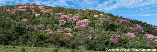 Piste de Aquidauana à Rio Verde de Mato Grosso - Brésil