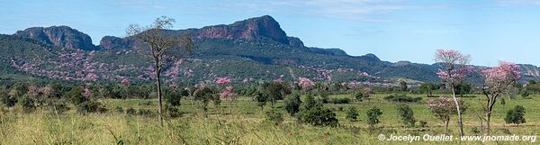 Piste de Aquidauana à Rio Verde de Mato Grosso - Brésil