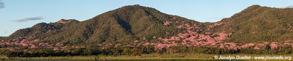 Piste de Aquidauana à Rio Verde de Mato Grosso - Brésil