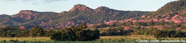 Piste de Aquidauana à Rio Verde de Mato Grosso - Brésil