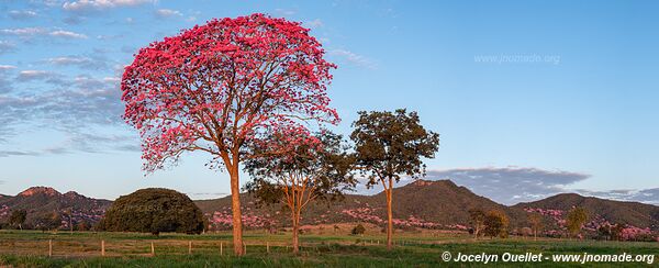 Piste de Aquidauana à Rio Verde de Mato Grosso - Brésil