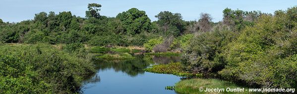 Région de Mimoso - Pantanal - Brésil