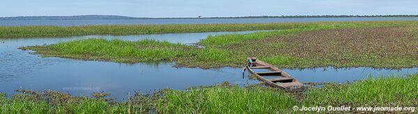 Autour de Barão de Melgaço - Pantanal - Brésil