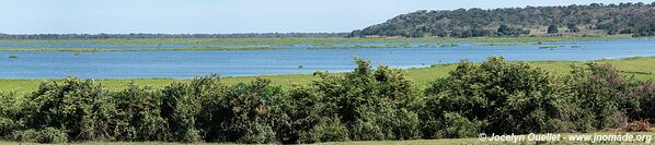 Autour de Barão de Melgaço - Pantanal - Brésil