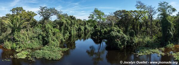 Estrada Parque Transpantaneira - Pantanal - Brésil