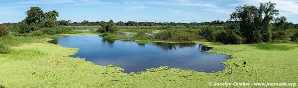 Estrada Parque Transpantaneira - Pantanal - Brésil
