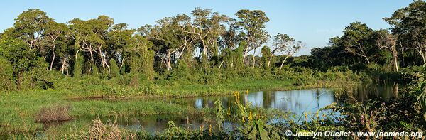 Estrada Parque Transpantaneira - Pantanal - Brésil