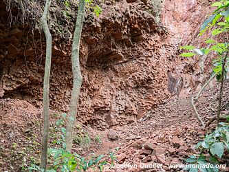 Cerro Kõi - Areguá - Paraguay