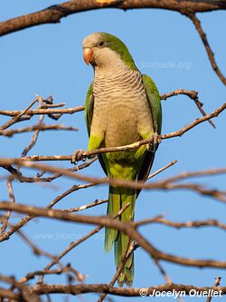 Fortín Boquerón - Paraguay