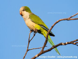 Fortín Boquerón - Paraguay