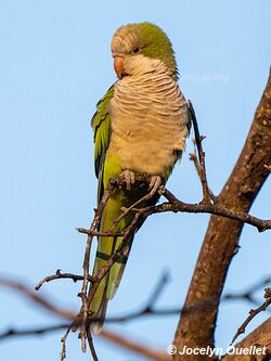 Fortín Boquerón - Paraguay