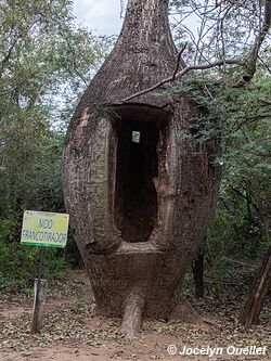 Fortín Boquerón - Paraguay